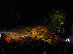 conv0006