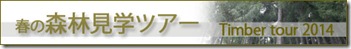 timber tour banner1 シンプルな洋風の家完成見学会情報！