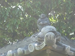 P1010942