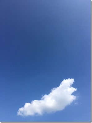 20160909 (2)