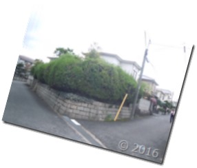 DSCN0508
