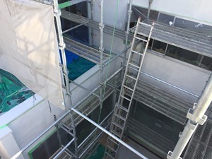IMG_1869 IMG_1869