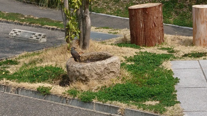 DSC_0196.jpg