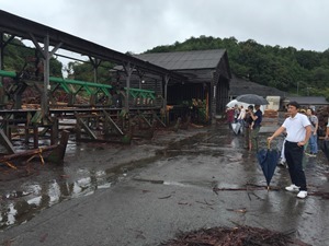 IMG_1509 IMG_1509