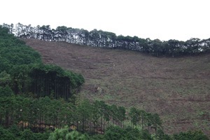 IMG_3347 IMG_3347
