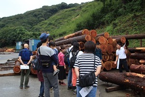 IMG_3351 IMG_3351