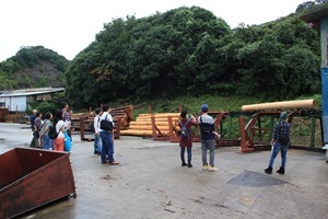 IMG_3363 IMG_3363