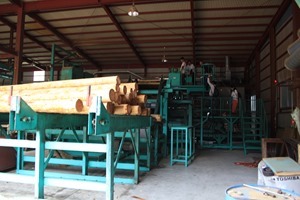 IMG_3368 IMG_3368