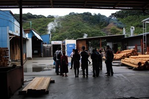 IMG_3390 IMG_3390