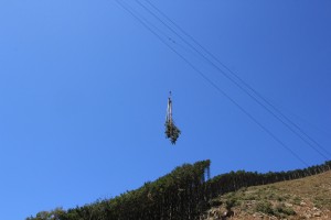 IMG_5350