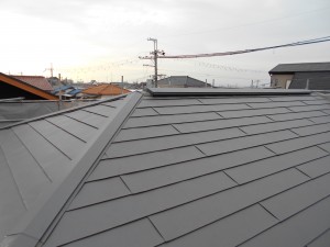 DSCN0281