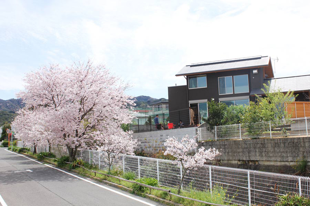 春には大きな桜の木が満開になり、お庭でバーベキューをしながらお花見ができます