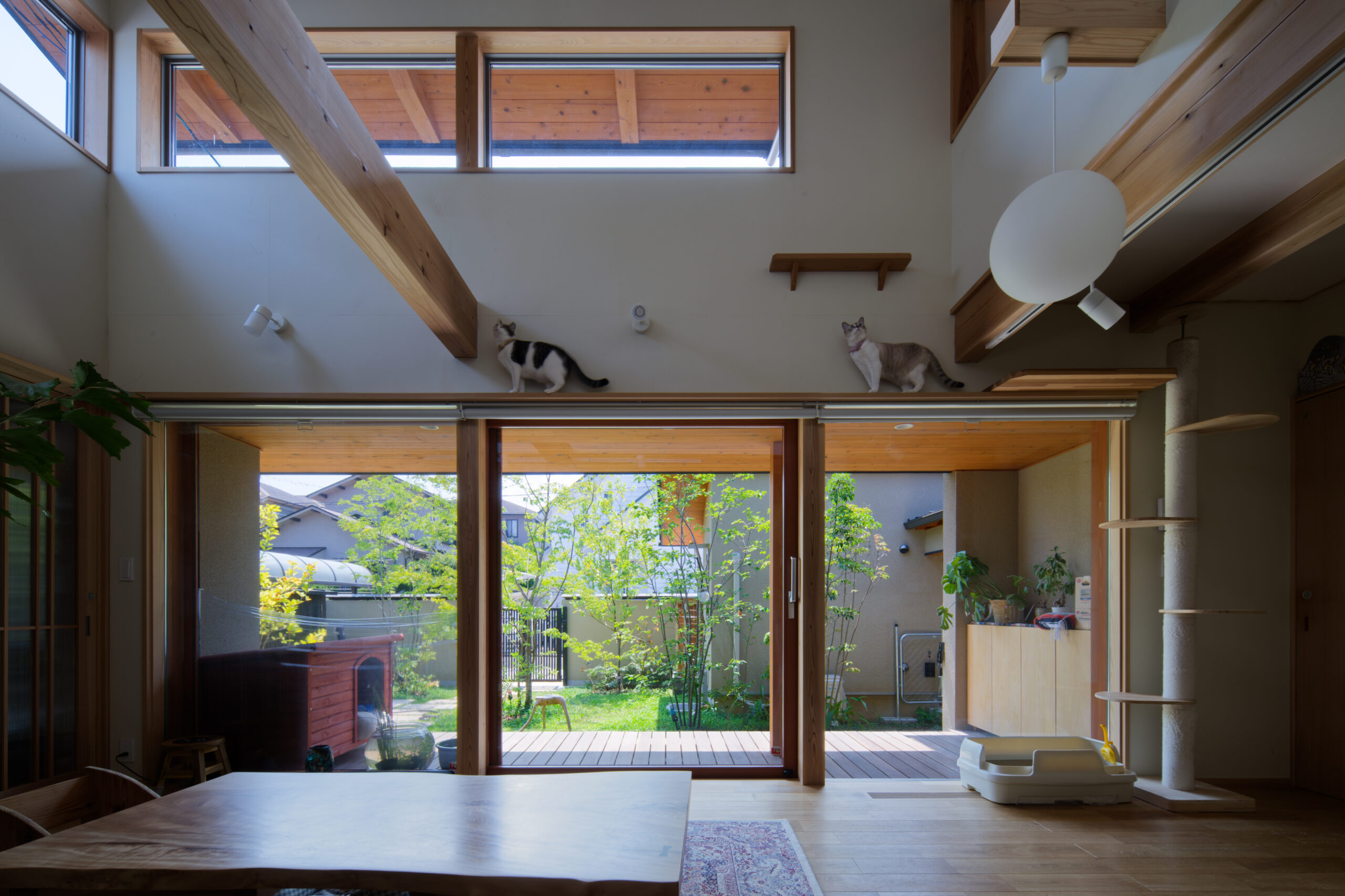 キッチンを中心に家族が集まる平屋のお家