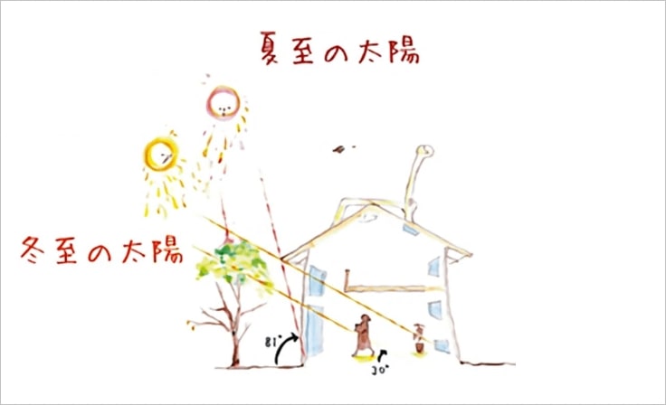 光の恵みを受けて暮らす